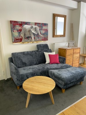 sofa-grau-velour-bild-elefant